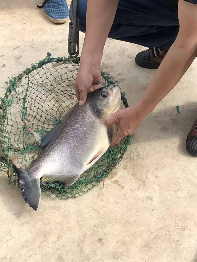 沙朗电力休闲度假山庄