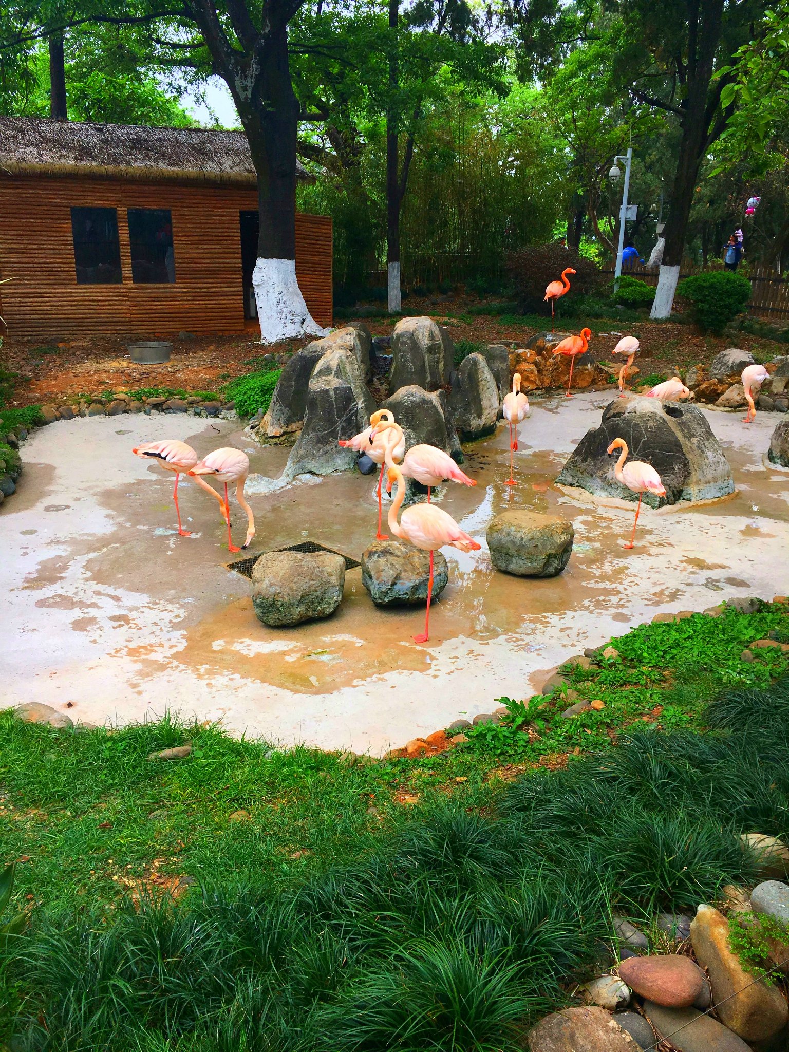 昆明動物園