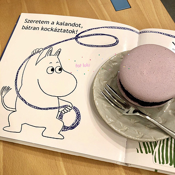 Chez Dodo Macaron