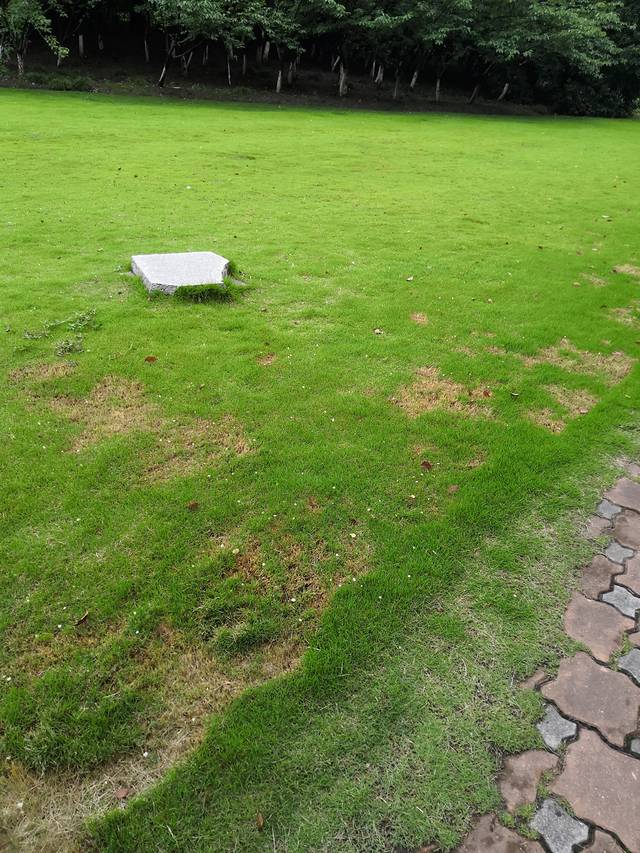 武隆喀斯特旅游区-大峡谷景观亭