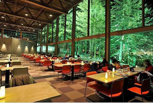 尼葡力森林餐厅旅游景点图片