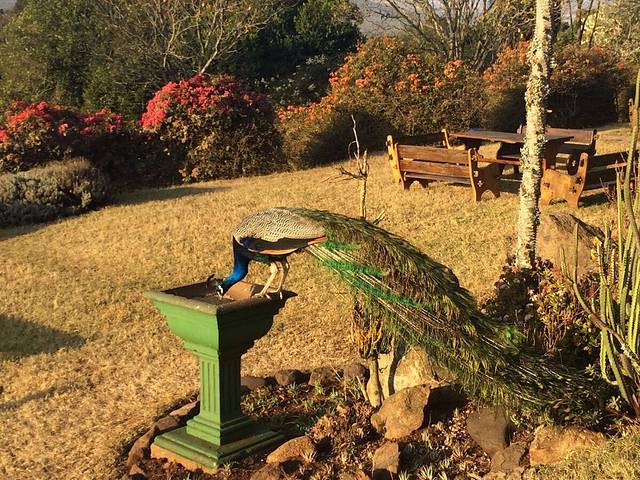 国家野生动物园