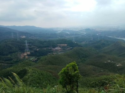 亚公顶背休闲生态园