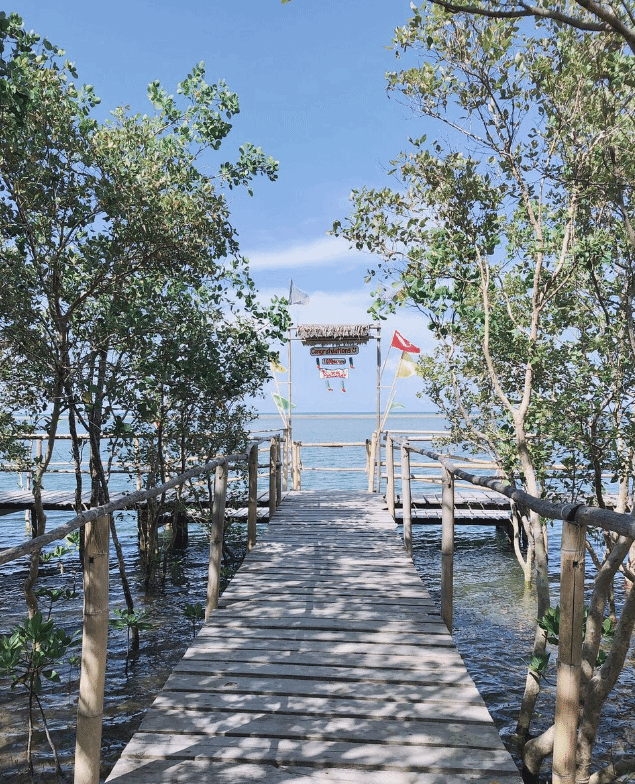 Bakhawan Eco-park and Research Centre