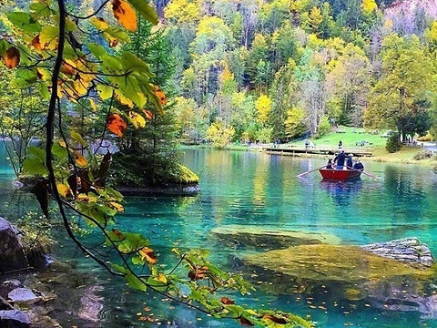 Blausee Nature Park旅游景点图片