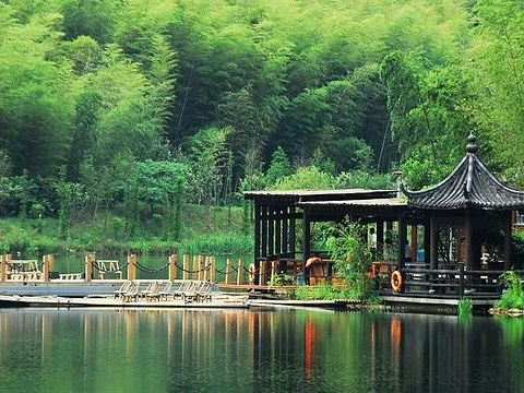 安吉竹乡国家森林公园旅游景点图片