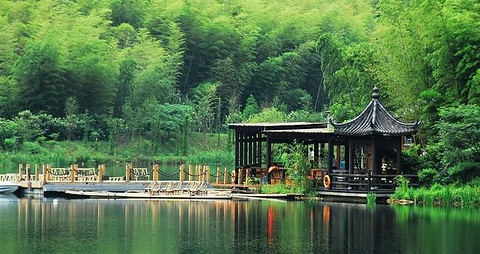 安吉竹乡国家森林公园的图片