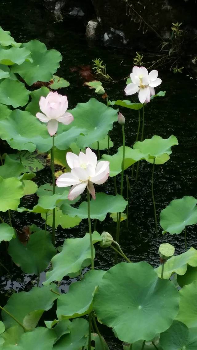 绍兴东湖风景区-仙桃洞