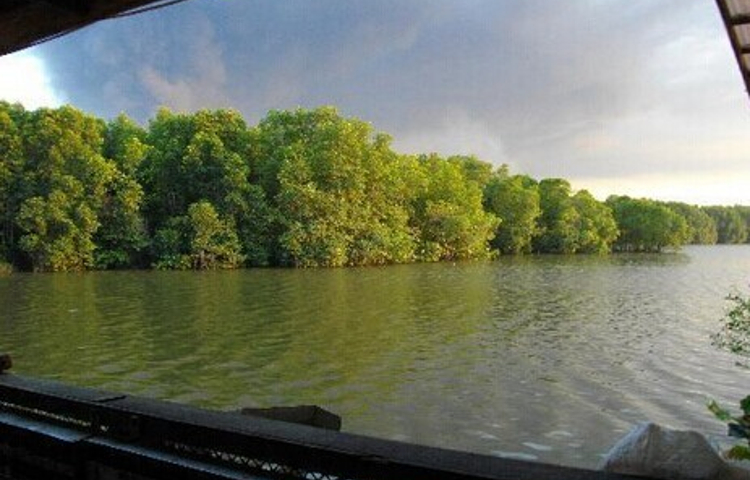 Salut Seafood Restaurant