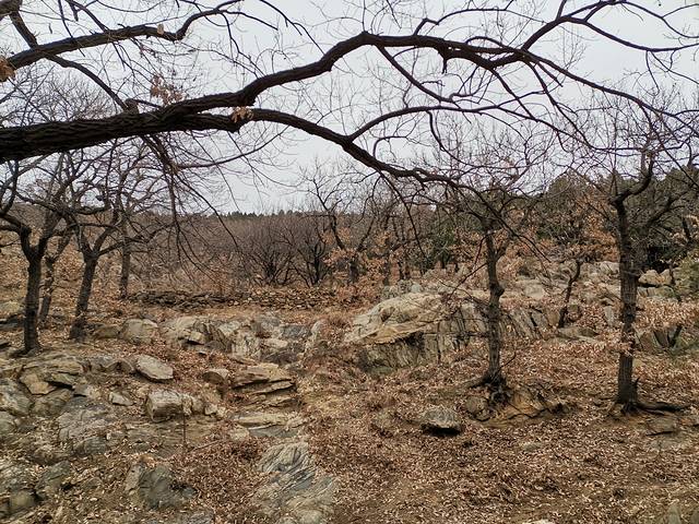 冯玉祥泰山纪念馆