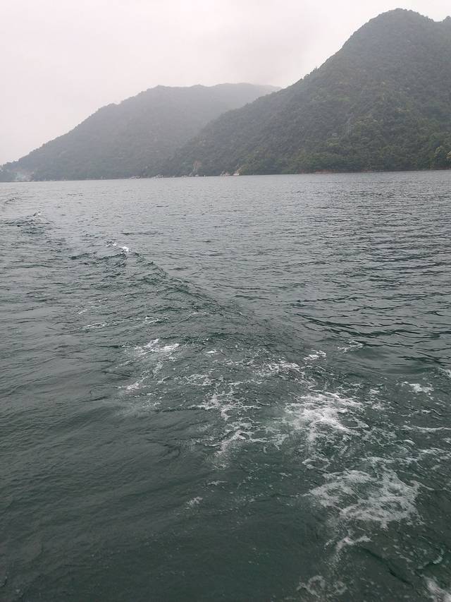 湖南天鹅山国家森林公园