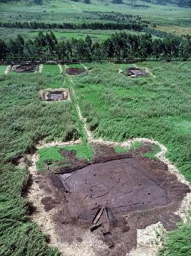 库科早期农业遗址的图片
