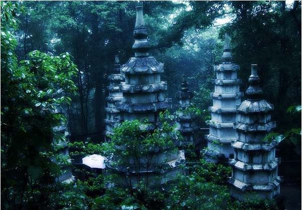 岐山国家森林公园