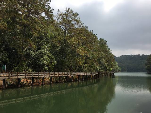 梅子湖栈道