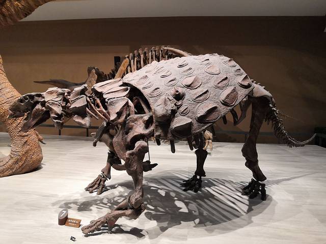 宁国市自然博物馆