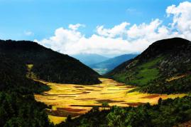 二滩国家森林公园