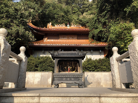 雁南飞茶田景区-宝灵寺旅游景点图片