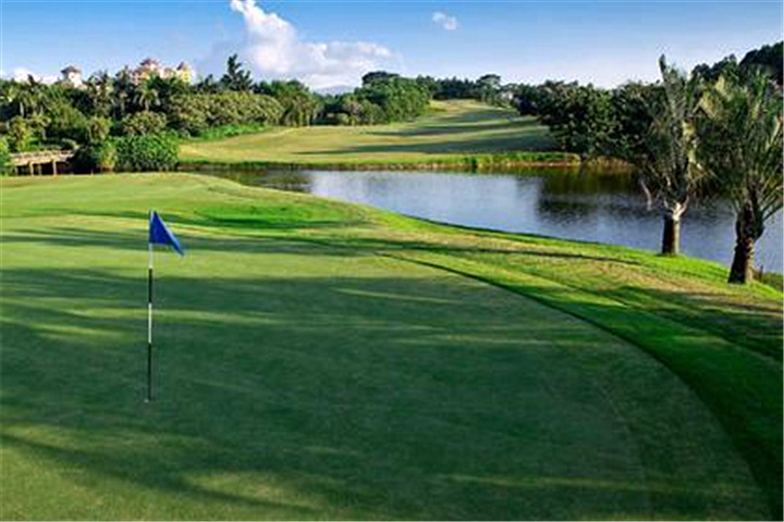棕榈岛高尔夫球会