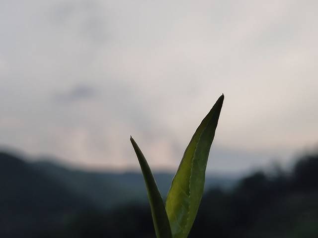 心无尘茶餐馆(径山村店)