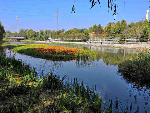 滨河公园旅游景点图片