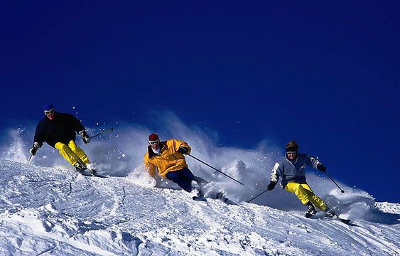 白鹿原滑雪场旅游景点图片