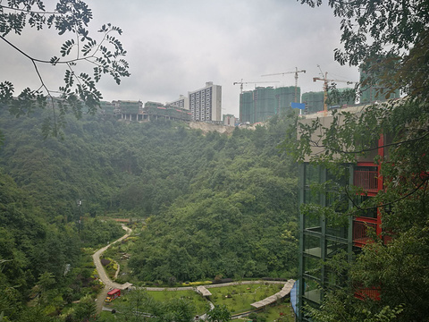 贵州省中亚热带高原珍稀植物园旅游景点图片