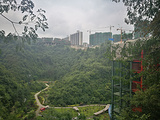 省中亚热带高原珍稀植物园