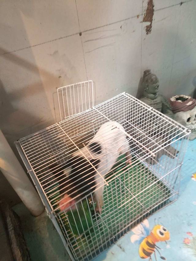 极地海洋馆(江南摩尔店)