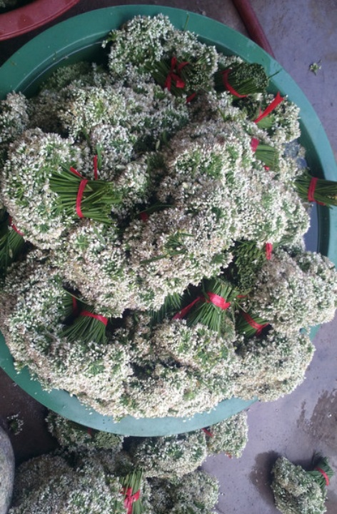 清真义顺德涮肉(驻马店总店)