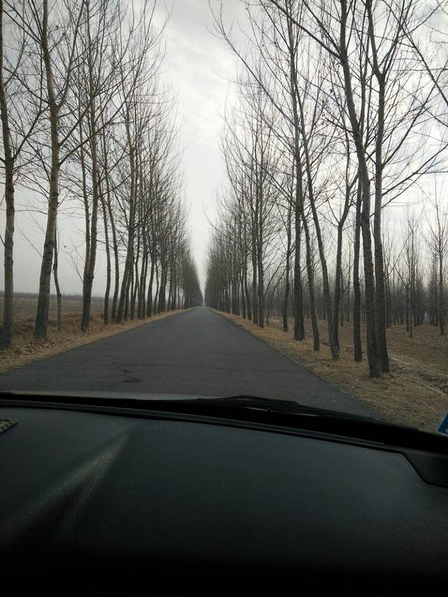 佟二堡海宁皮革城(皮草东大街店)