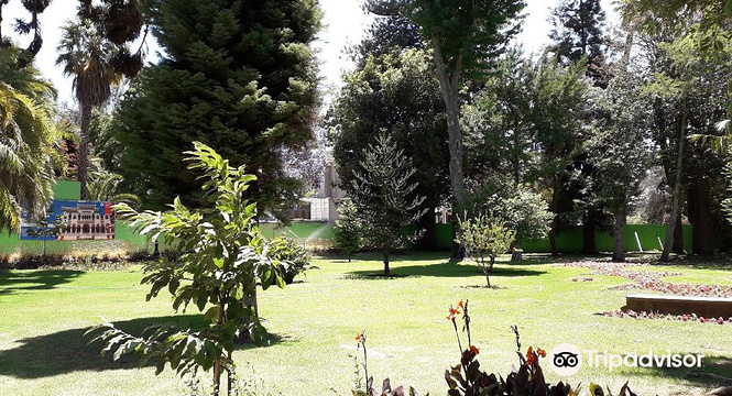 Quinta Vergara住宅旅游景点图片