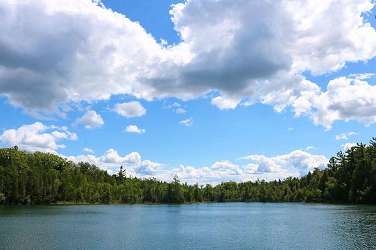 Crawford Lake Conservation Area旅游景点图片