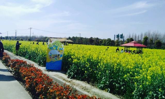 庄行乡村旅游景区