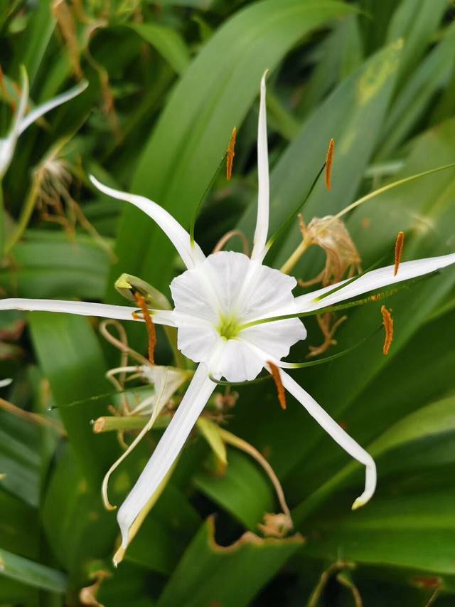金山湖公园二期