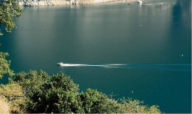 二滩国家森林公园