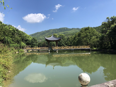 莆田市绿源名贵植物开发有限公司旅游景点图片