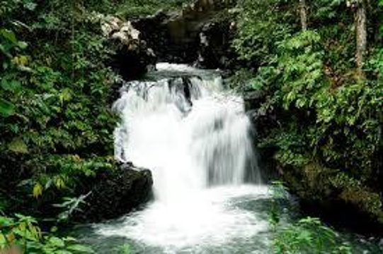 乌鲁庞森林保护区旅游景点图片