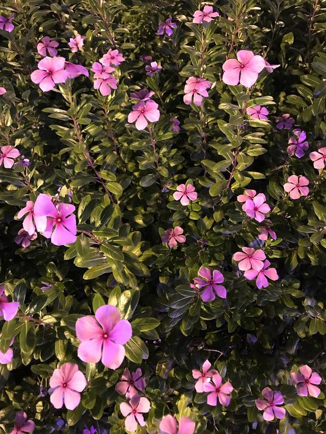 大润发(桐庐店)