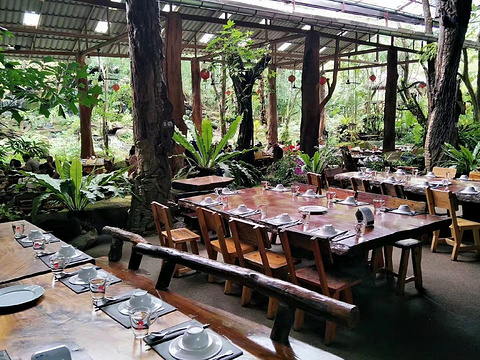 米其林餐厅绿光森林图片