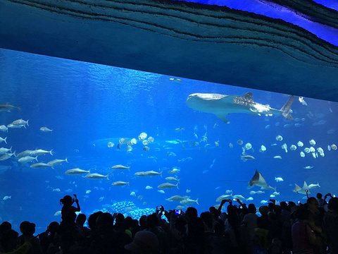 张家港市暨阳湖欢乐世界旅游景点图片