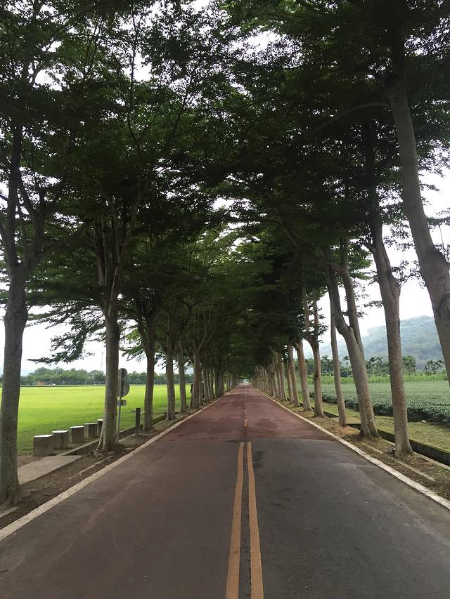 鹿野龙田自行车道