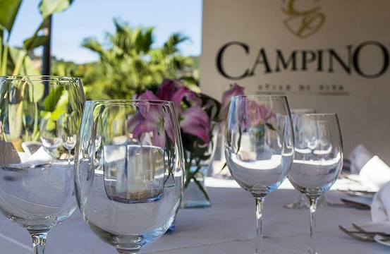 Campino Restaurante旅游景点图片