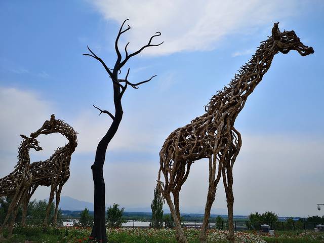 北京世园公园-植物馆