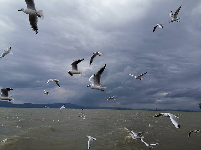 捞渔河国家湿地公园