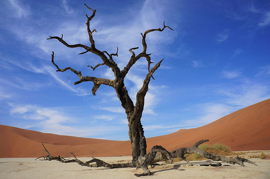 Namib-Naukluft National Park旅游景点图片