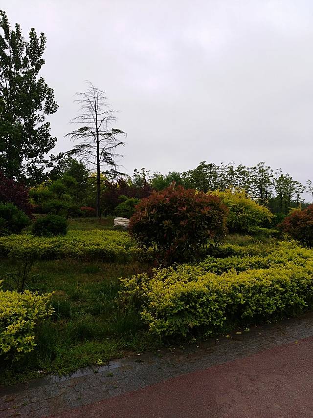 四季河人工湿地公园