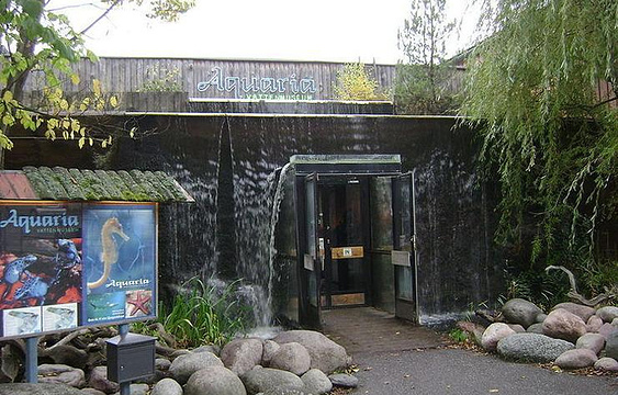斯德哥尔摩水族馆旅游景点图片