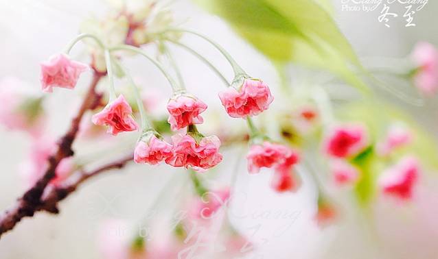 天府立交西游园