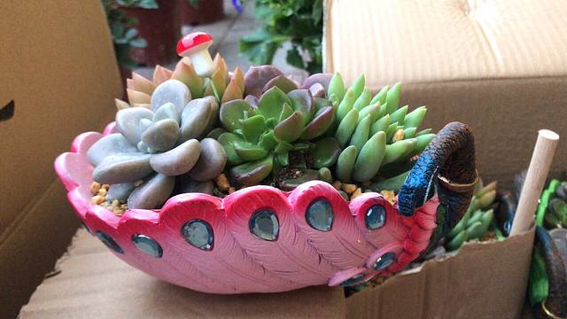 清远聚龙庄地道食府