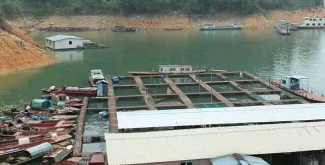 港源鱼庄(湖边店)